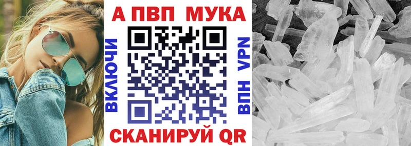 A PVP СК  Всеволожск 