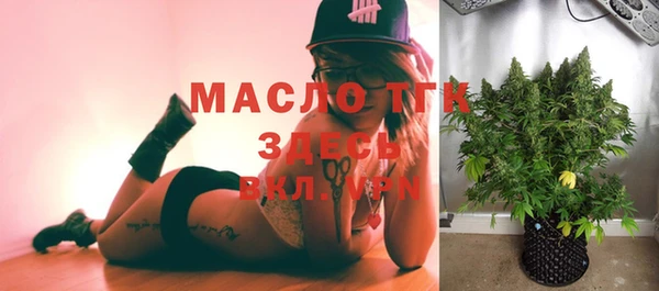 шишки Белокуриха
