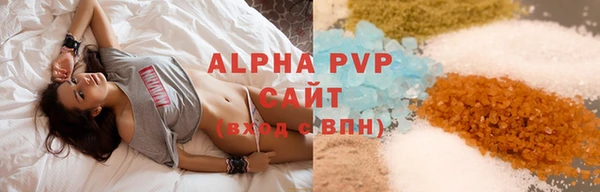 шишки Белокуриха