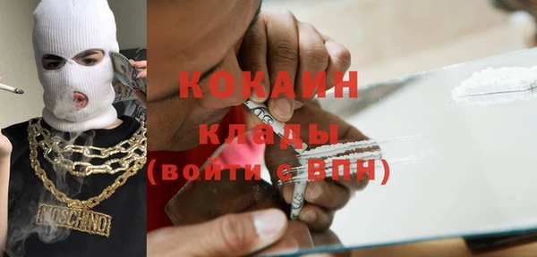 шишки Белокуриха