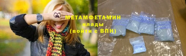 шишки Белокуриха