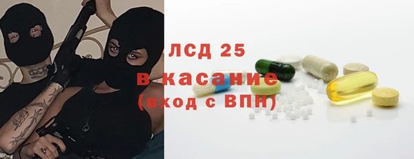 шишки Белокуриха