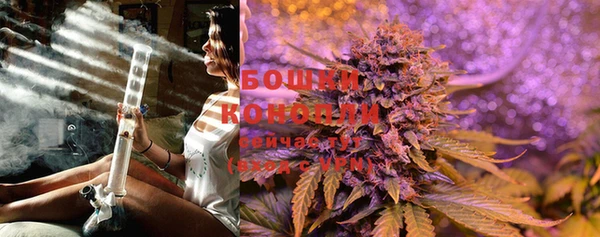 гидра Сосновоборск