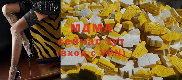 шишки Белокуриха