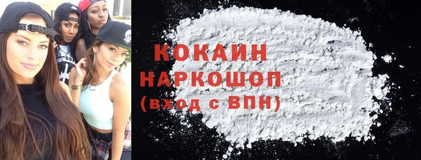 шишки Белокуриха