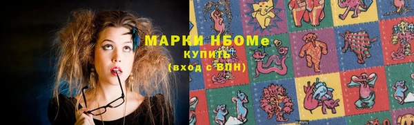 шишки Белокуриха