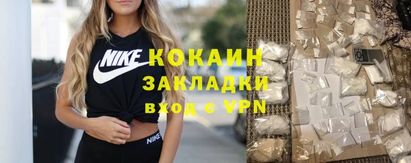 шишки Белокуриха
