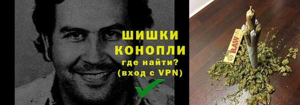 винт Сосновый Бор