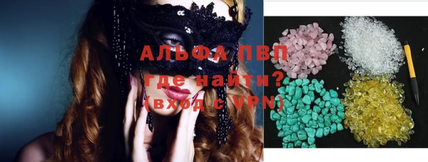 шишки Белокуриха