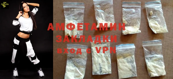 шишки Белокуриха