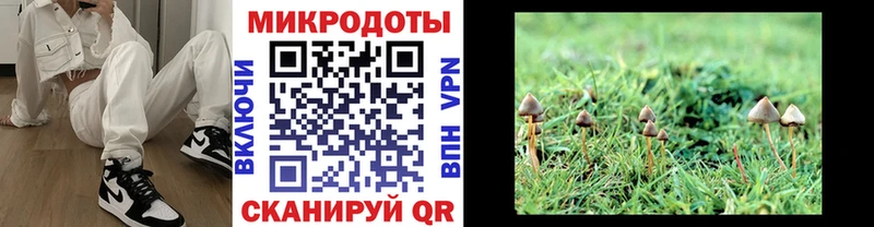 мега сайт  купить  сайты  Всеволожск  Галлюциногенные грибы Psilocybe 